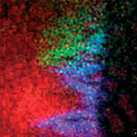 Overlay: Cl, Oleic Acid, Coenzyme Q9 image of ion map of mouse leg: Duchenne Muscular Dystrophy Lipids